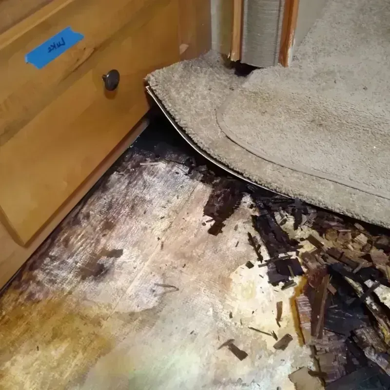 Wood Floor Water Damage in Alvin, TX